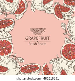 Background with grapefruit . hand drawn