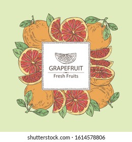 Background with grapefruit and grapefruit slice. Vector hand drawn illustration