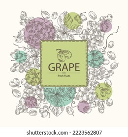 Background with grapes: grapes, grape leaf and  grape branch. Vector hand drawn illustration.
