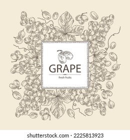 Background with grapes: grapes, grape leaf and  grape branch. Vector hand drawn illustration.