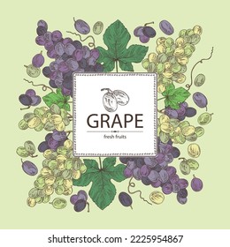 Antecedentes con uvas: uvas, hojas de uva y ramas de uva. Ilustración dibujada a mano por vectores.