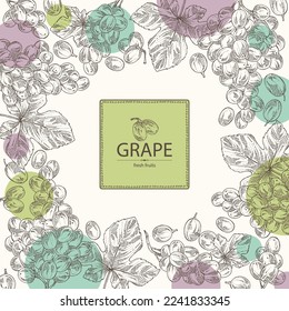 Background with grapes: grapes, grape leaf and  grape branch. Vector hand drawn illustration.