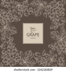 Background with grapes: grapes, grape leaf and  grape branch. Vector hand drawn illustration.