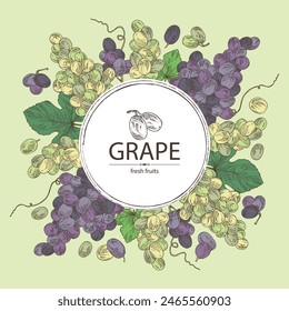 Background with grapes: grapes, grape leaf and  grape branch. Vector hand drawn illustration.