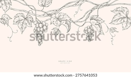 Background with grapes, vine and brunch. Detailed template layout design, brochure or cover for wine card, menu and invitation