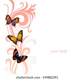 background of graphic colorful butterflies flying and pattern of curl