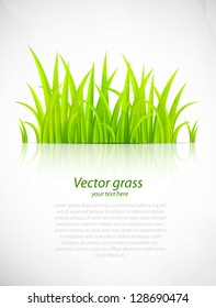 Background with grass
