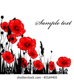  Background with grass ang red poppie isolated on white