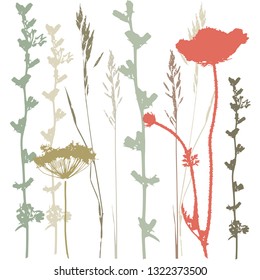 Background with grass and branches. Collection of wild and garden plants. Set of herbs, branches, flowers and other botanical elements. Vector illustration