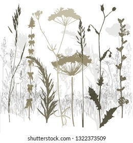 Background with grass and branches. Collection of wild and garden plants. Set of herbs, branches, flowers and other botanical elements. Vector illustration