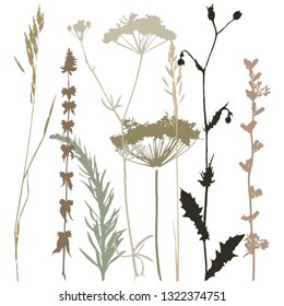Background with grass and branches. Collection of wild and garden plants. Set of herbs, branches, flowers and other botanical elements. Vector illustration