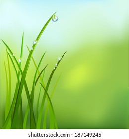 background with grass and dew. vector illustration svg