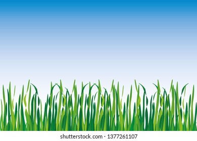 background of grass in different shades of green with blue sky - Powered by Shutterstock - Get 15% off with code: PIKWIZARD15