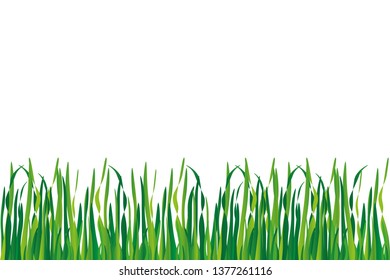 background of grass in different shades of green