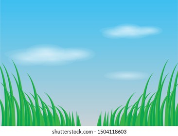 Background of grass field and blue sky with cloud 