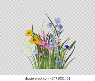 Background grass flower bed garden flowers on a transparent background. Freehand drawing isolate on a white background. Vector