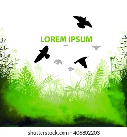 Background  grass with flying birds. Vector