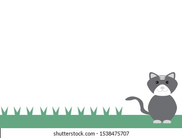 background with the grass and the gray cat in the lower right corner