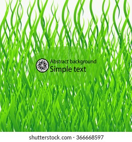 Background with grass isolated on white background for design or advertising of organic products . Vector illustration .