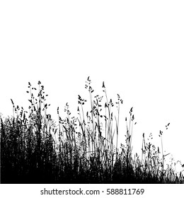 Background grass natural silhouette. Vector