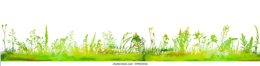 Background grass natural silhouette  Vector