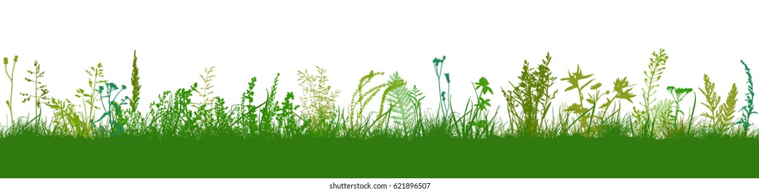 Background grass natural silhouette. Vector