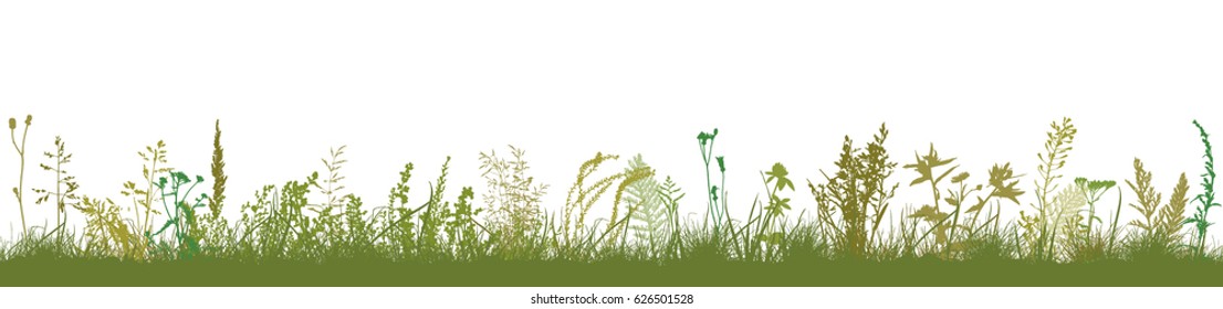 Background grass natural silhouette. Vector