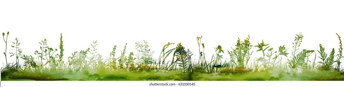 Background grass natural silhouette. Vector
