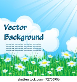 Background with grass reflecting the rays of light