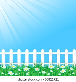 Background with grass reflecting the rays of light and white fence
