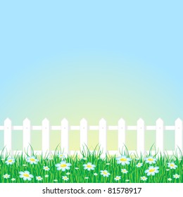 Background with grass reflecting the rays of light