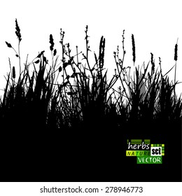 background grass silhouette. Vector