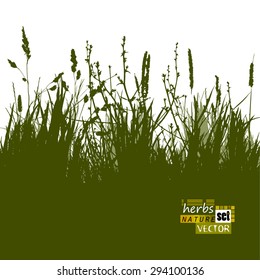 background grass silhouette. Vector