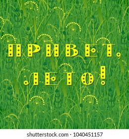 Background of grass. Text in Russian - Hello summer. Plants meadows and fields. Concept summer, nature, freshness relaxation