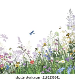 Background grass wildflowers butterflies. Isolate on a white background. Vector illustration.