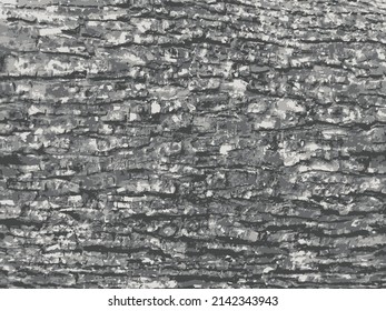 Background gray texture.stone wall texture.Black stone wall Background texture design.