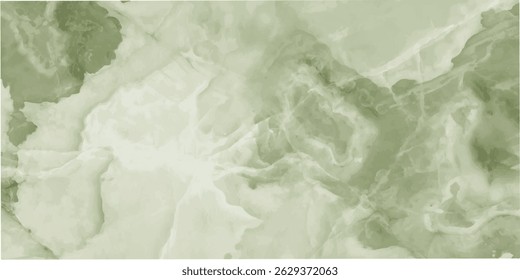 Background Green abstract nature Shadow Overlay Leaf Natural blur Cement Wall Floor Beige Mockup Product Cosmetic Summer Tropical Nature Presentation Frame Template Eco Backdrop Environment