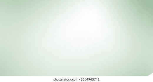 Background Green abstract nature Shadow Overlay Leaf Natural blur Cement Wall Floor Beige Mockup Product New art