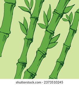 Background with green bamboo branches. Line art. Vector illustration