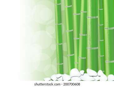 Background of green bamboo garden