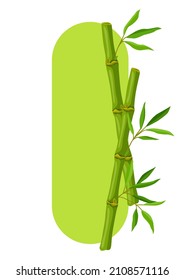 Background with green bamboo stems and leaves. Decorative exotic plants of tropic jungle.