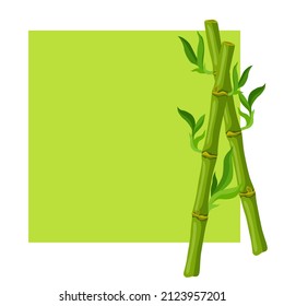Background with green bamboo stems and leaves. Decorative exotic plants of tropic jungle.