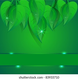 Background green banner petal