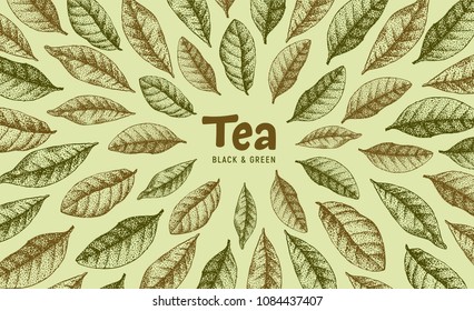 background of green and black tea leaves flying from center and typography, wallpaper, hand drawn graphic