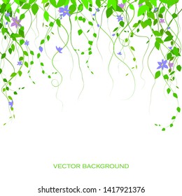 background with green branches and dlue  flowers, lianas, vector branches. The curtain is lian. vector.