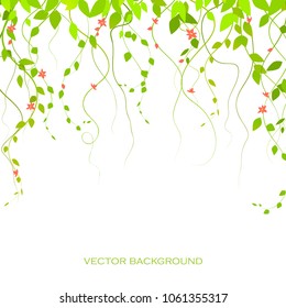 background with green branches and flowers, lianas, vector branches. The curtain is lian. vector.