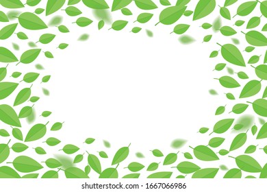 Background with green flying leaves. Leaves fly on the white background.