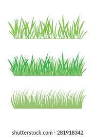 background of green grass