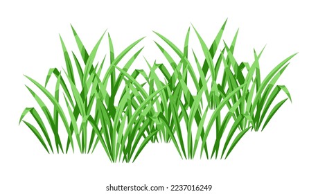 Background with green grass. Beautiful decorative summer lawn.