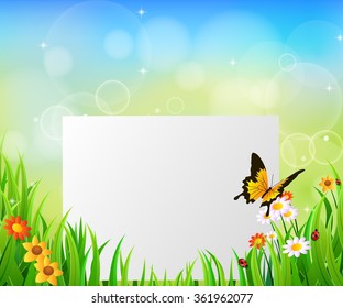 Background Green Grass with butterfly And paper